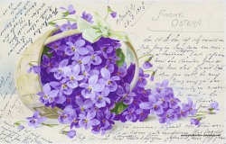 Karte zu Ostern, Blumen, 1904, lila