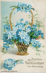 Geburtstagsgrüße,Postkarte Blumenkorb vergissmeinnicht1906