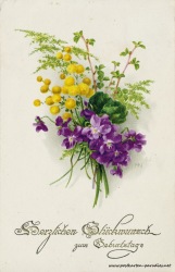 Geburtstagsgrüße,Postkarte violett Mimosen, 1926